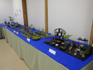 春のミニ盆栽と山野草展