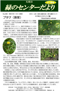 緑のセンターだより11月号
