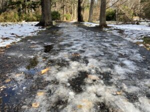園路の雪の様子