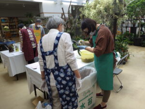 コチョウラン植え替え講習会