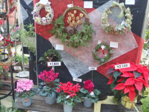 リースとシクラメン