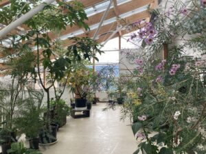 2階アトリウムの様子