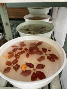 アイスボード準備中