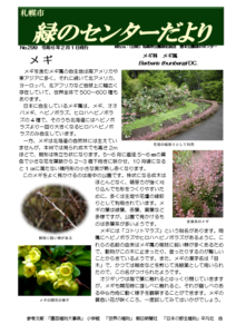 緑のセンターだより2月号