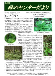 センターだより1月号とドンベヤ開花！