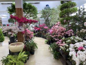 アザレア展のようす