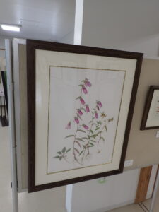 額に入れられた淡い色彩のホタルブクロの詳細画