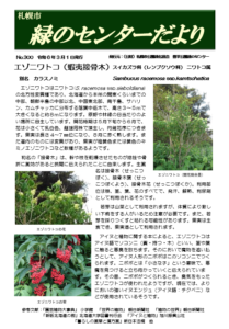 緑のセンターだより3月号ができました