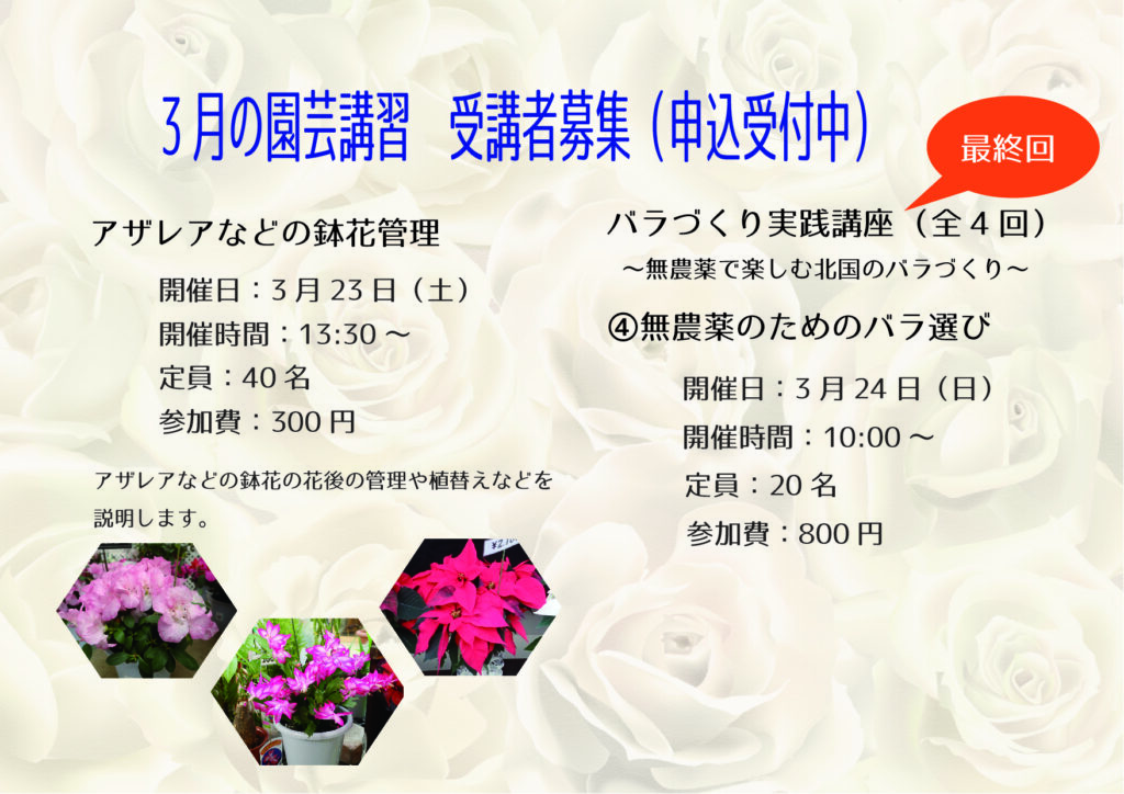 申込受付中の講習会の案内