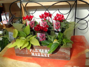 花売店情報3月7日