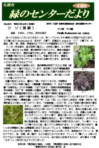 センターだより4月号表紙