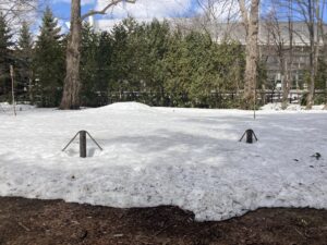 野草園のカタクリエリア