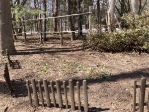 野草園方面のヤチダモ並木のスノードロップ