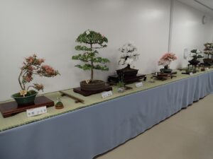 色とりどりの花が咲いた大型のさつき盆栽と添えの山野草などが並ぶ席が並んでいる