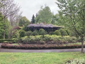 花木園のフジ棚