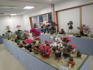 R6さつき花季展の会場の様子