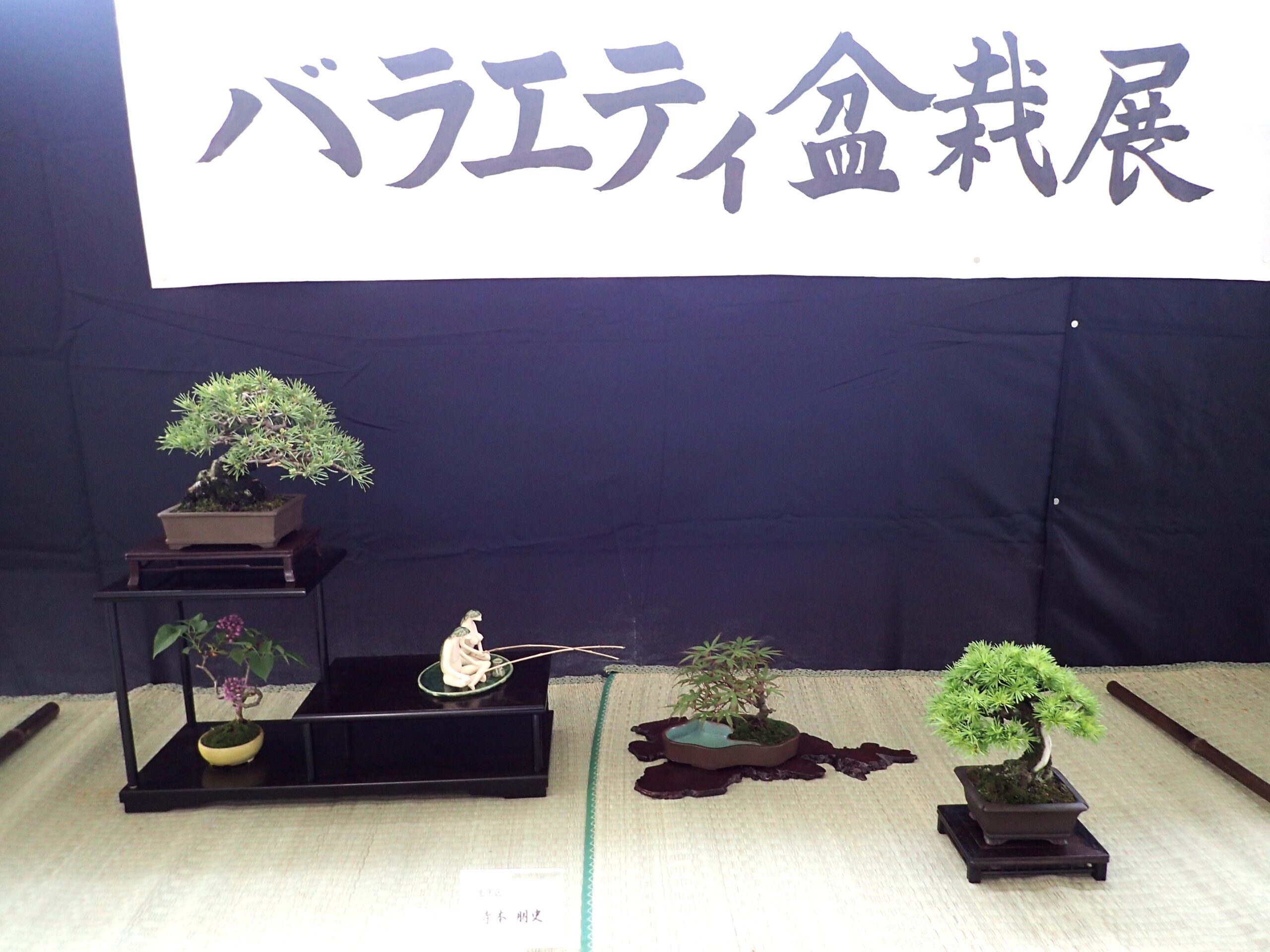 5月17日より「バラエティ盆栽展」が始まります | 豊平公園 - 札幌市