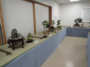 様々な形のさつき盆栽と添えの小さめの鉢が並び、小さな鉢のモミジは赤くなり始めている