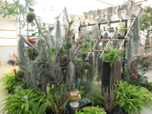「エアープランツ展」と野草園