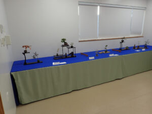 蒼い毛氈の引かれた台の上に木製の棚や板を使って小さな盆栽が飾られている