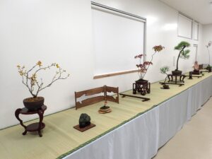 ゴザを敷いた台の上に色づいた実が付いた広葉樹や針葉樹などの盆栽のほか水石などが席飾りでならんでいる