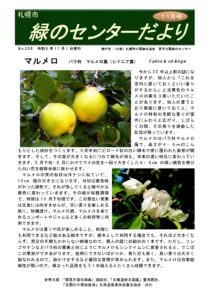 緑のセンターだより11月号