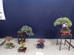 小物盆栽等席飾り