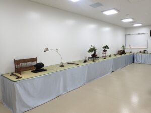 大小の実がなっていたり葉が紅葉した広葉樹や針葉樹、水石などが席飾りで展示されている