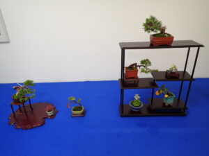 箱台や地板の上に小さな盆栽や盆草が置かれている一席