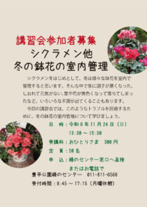 チラシ_シクラメン他冬の鉢花の室内管理