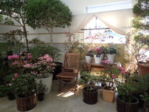 明日、2月11日よりアザレア展開催です