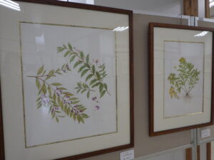 植物をえがいた大きな額作品が2枚並んでいる。