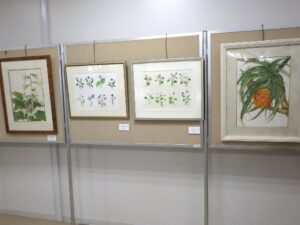 色々な植物の詳細画が並んでる