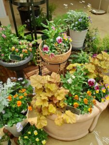 素焼きの大きな鉢に色とりどりのパンジーやビオラ、アイビーなどが寄せ植えされている