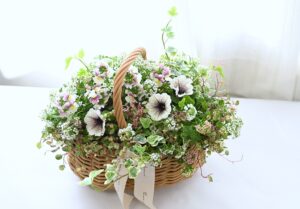 ゴールデンウィーク中の講習会のご案内