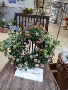 R7春のパンジー・ヴィオラ展　リングバスケット