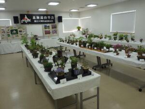 最後の「山野草展」始まります