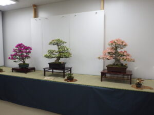 R7さつき花季展