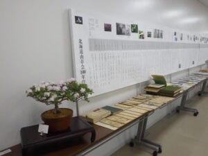 R7山野草展　年表