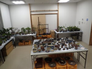 北海道の盆栽づくり5月展販売コーナー