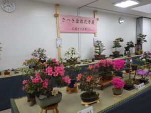 R7さつき花季展