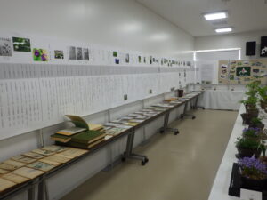 R7山野草展　年表2