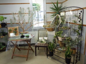 R7エアープランツ展 (6)