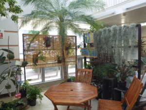 R7エアープランツ展 (3)