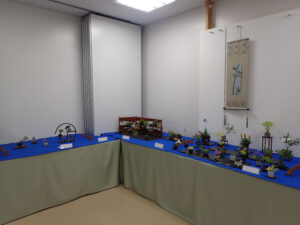 R7春のミニ盆栽と山野草展