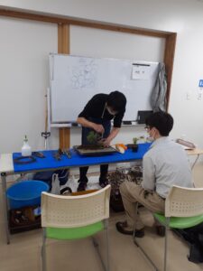 北海道の盆栽作り技術講習