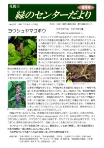 緑のセンターだより8月号を発行します