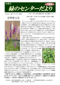 緑のセンターだより7月号を発行しました
