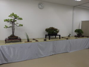 「北海道の盆栽作り7月展」と園内開花情報