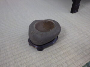 R7北海道の盆栽作り7月展 (2)